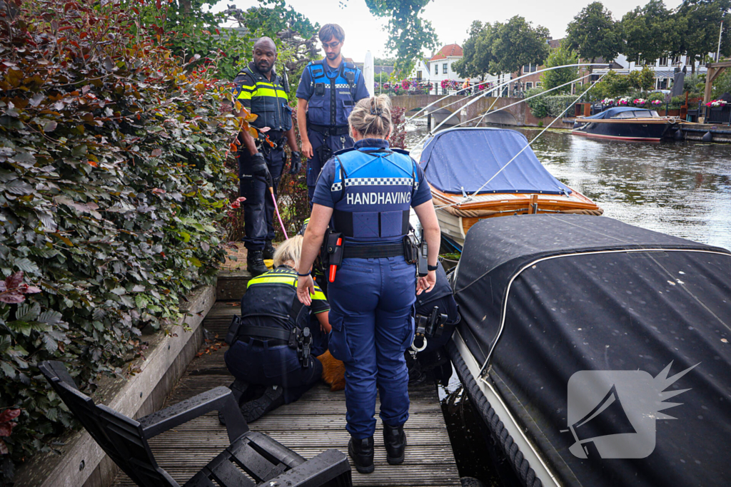 Hert gered uit de Rijn na sprongetje te water