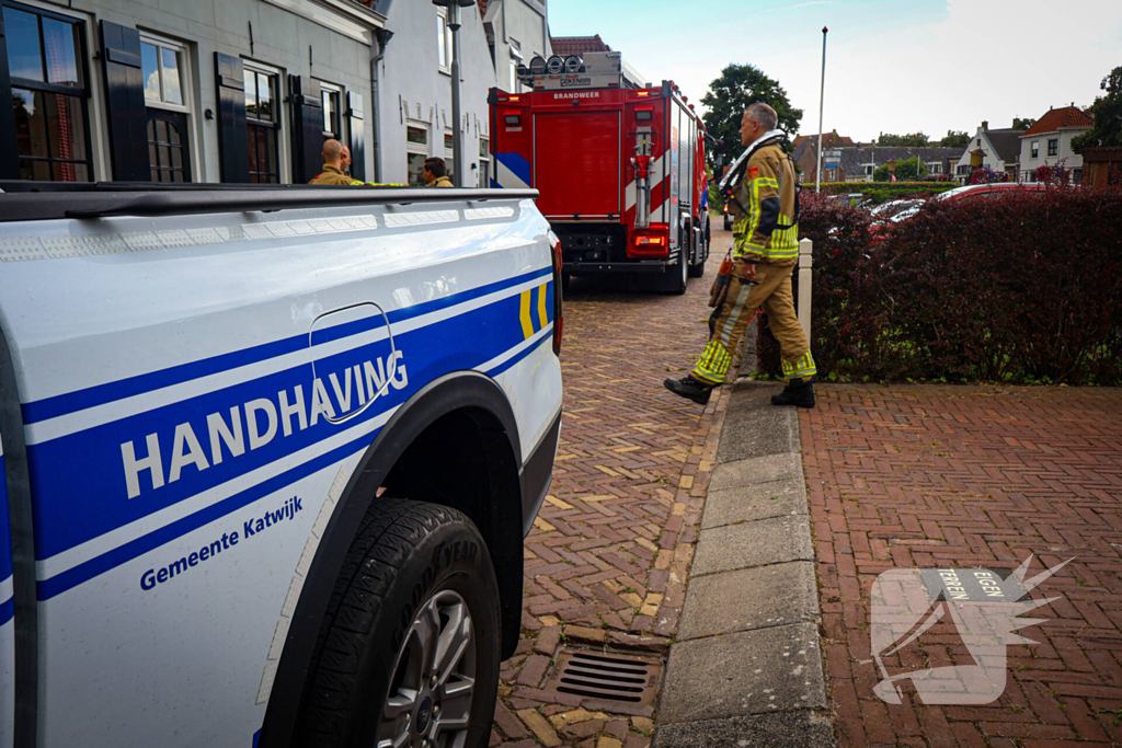 Hert gered uit de Rijn na sprongetje te water