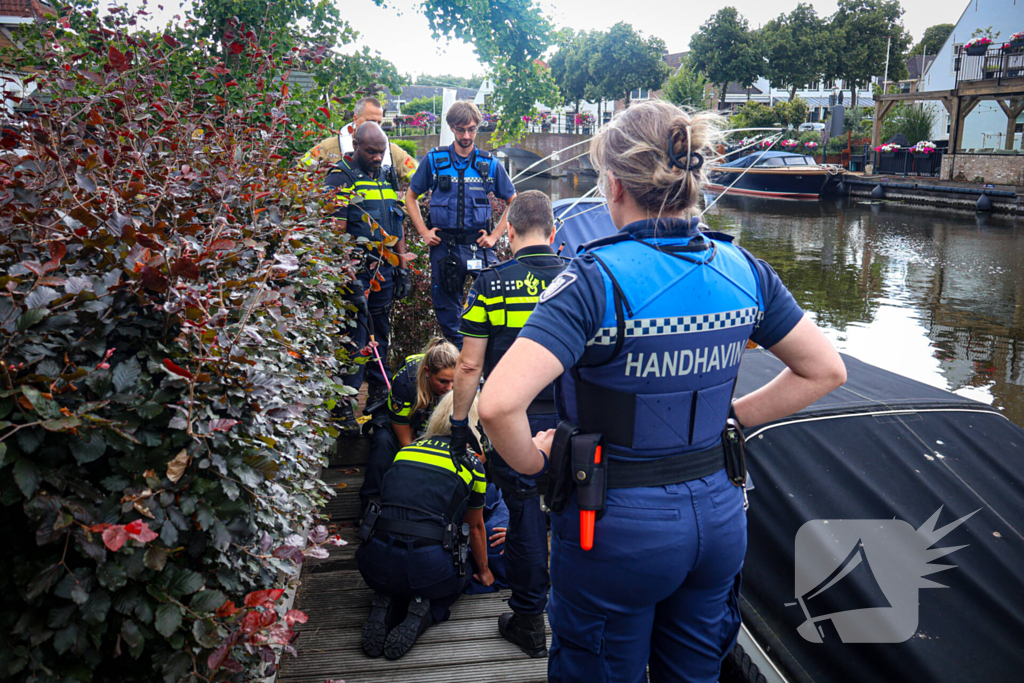 Hert gered uit de Rijn na sprongetje te water
