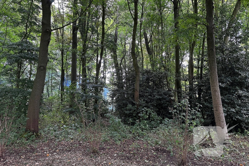 Brand in hut door onbekende oorzaak