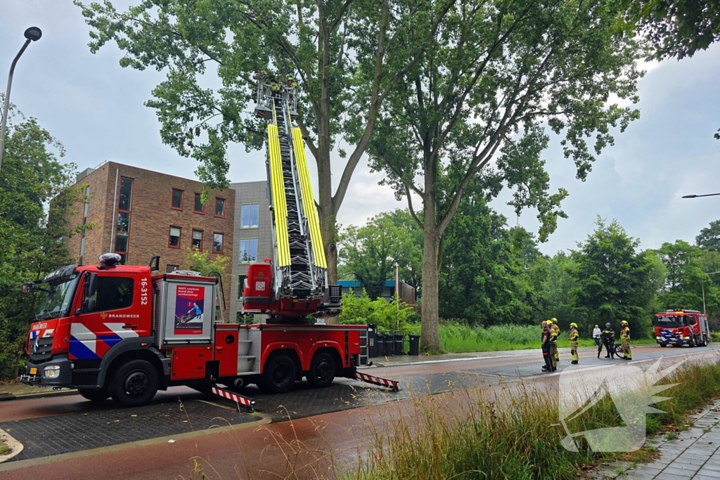 Brandweer verwijdert gevaarlijke boomtak