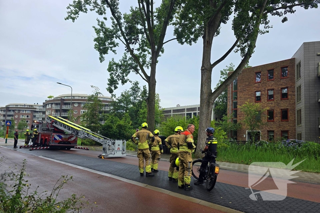 Brandweer verwijdert gevaarlijke boomtak