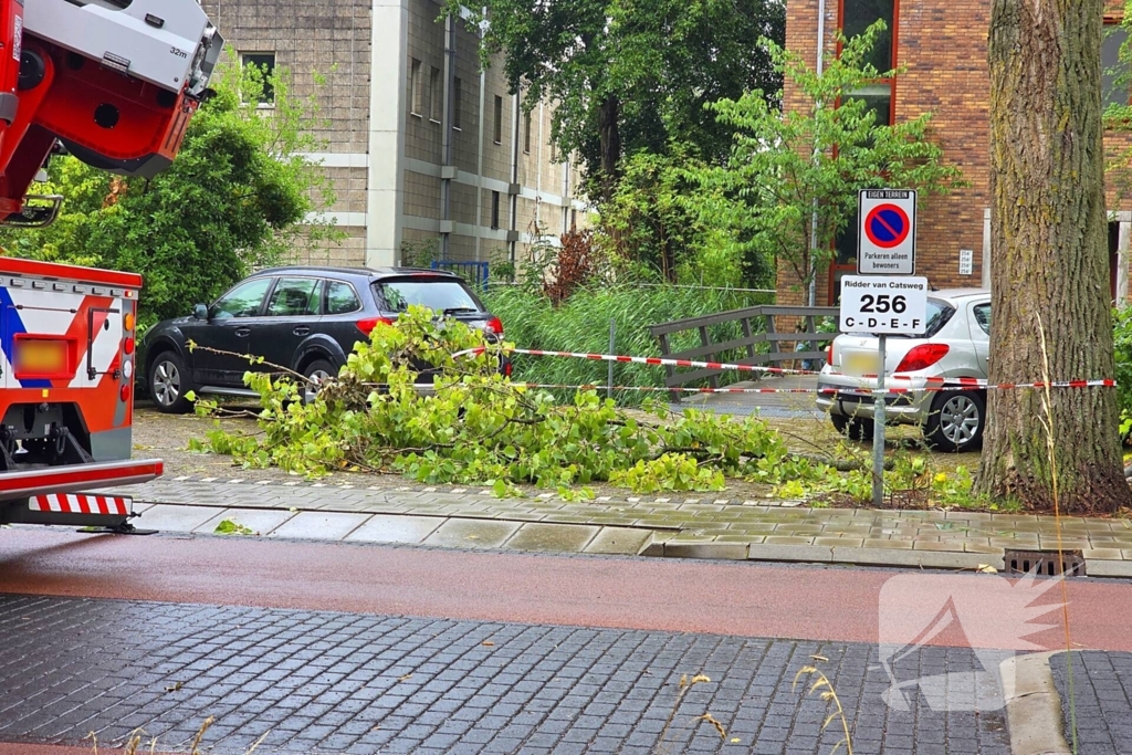 Brandweer verwijdert gevaarlijke boomtak