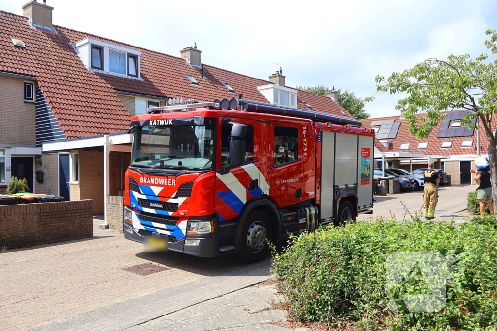 Brandweer redt kat Frenkie van dak
