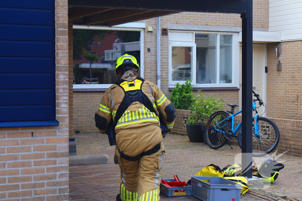Brandweer redt kat Frenkie van dak