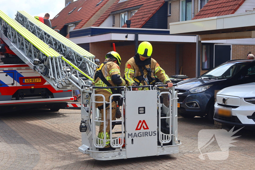 Brandweer redt kat Frenkie van dak