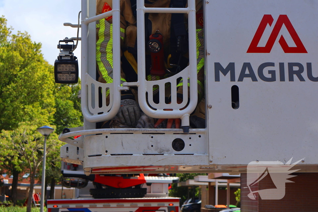 Brandweer redt kat Frenkie van dak