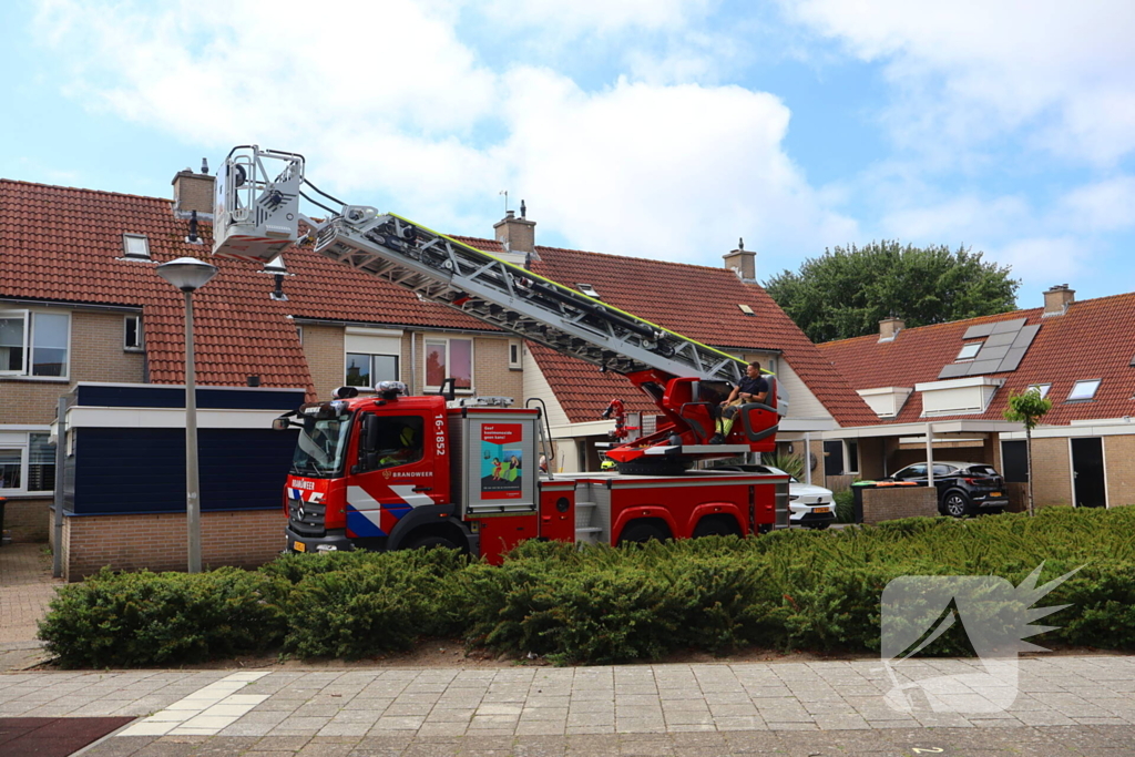 Brandweer redt kat Frenkie van dak