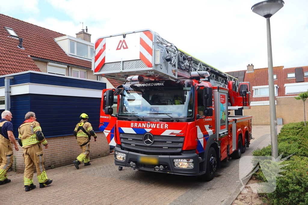 Brandweer redt kat Frenkie van dak
