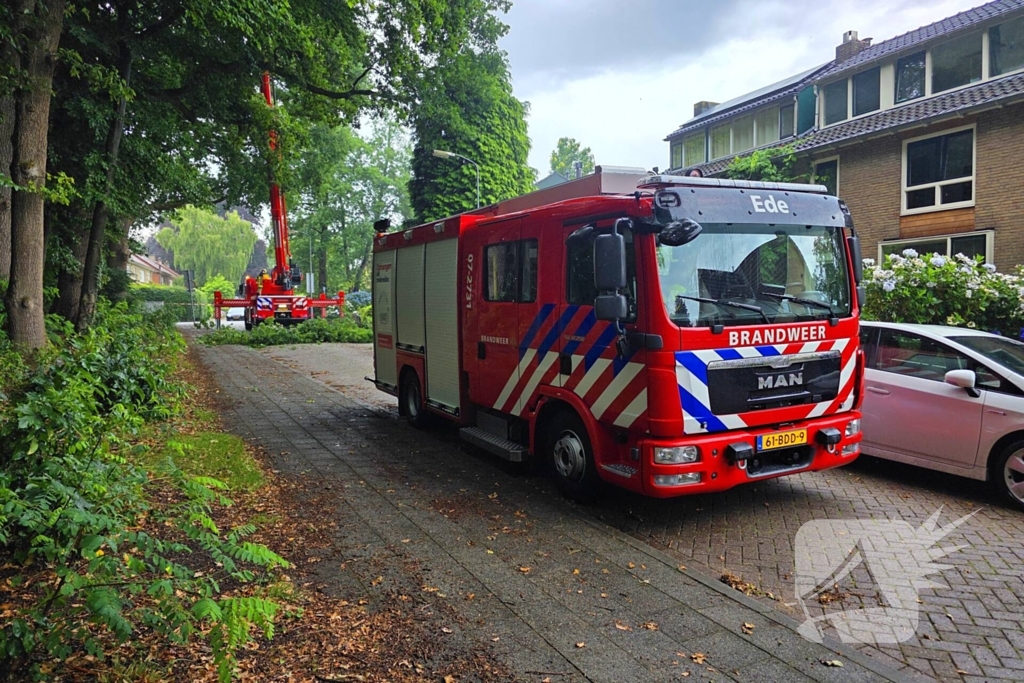 stormschade leidt tot ingrijpen brandweer