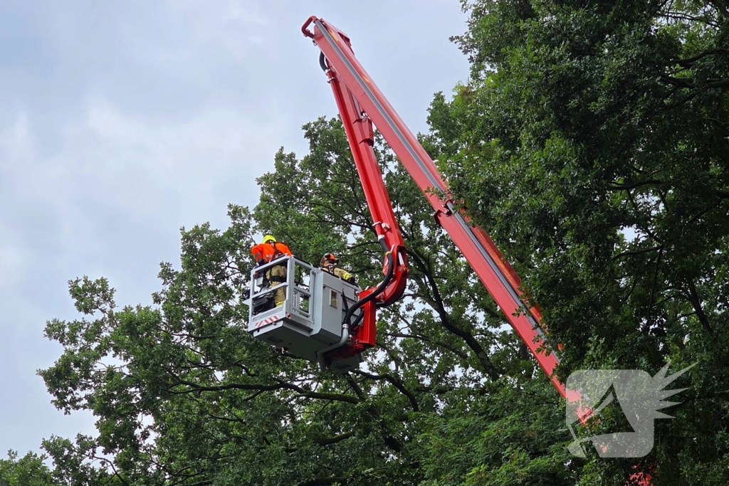 stormschade leidt tot ingrijpen brandweer