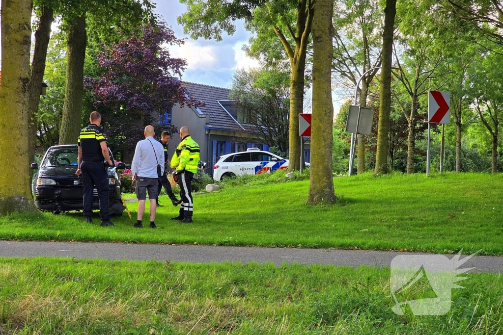 Automobilist vliegt uit de bocht