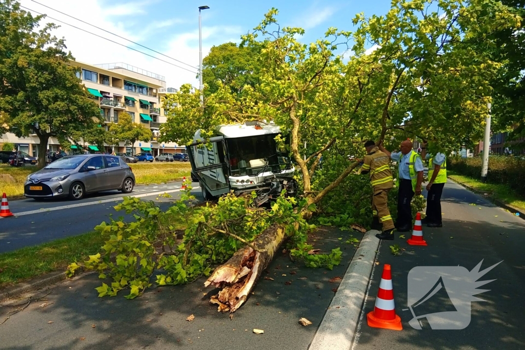 Veegwagen botst op boom