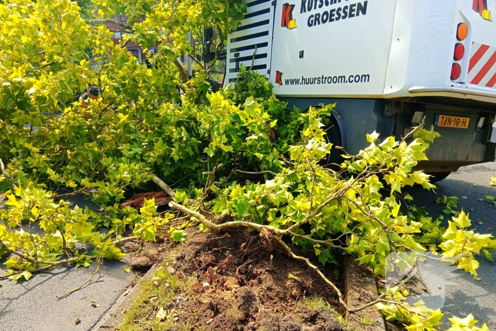 Veegwagen botst op boom