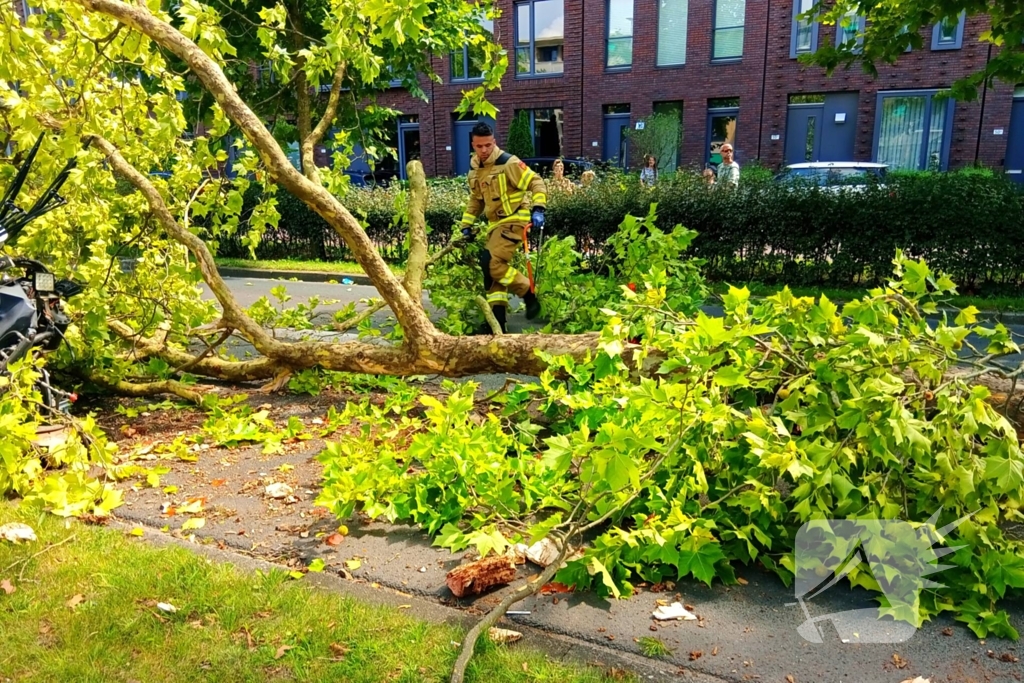 Veegwagen botst op boom