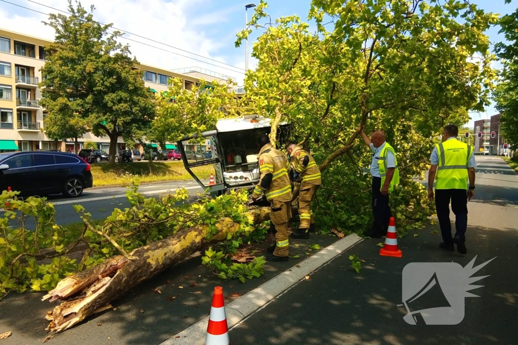 Veegwagen botst op boom