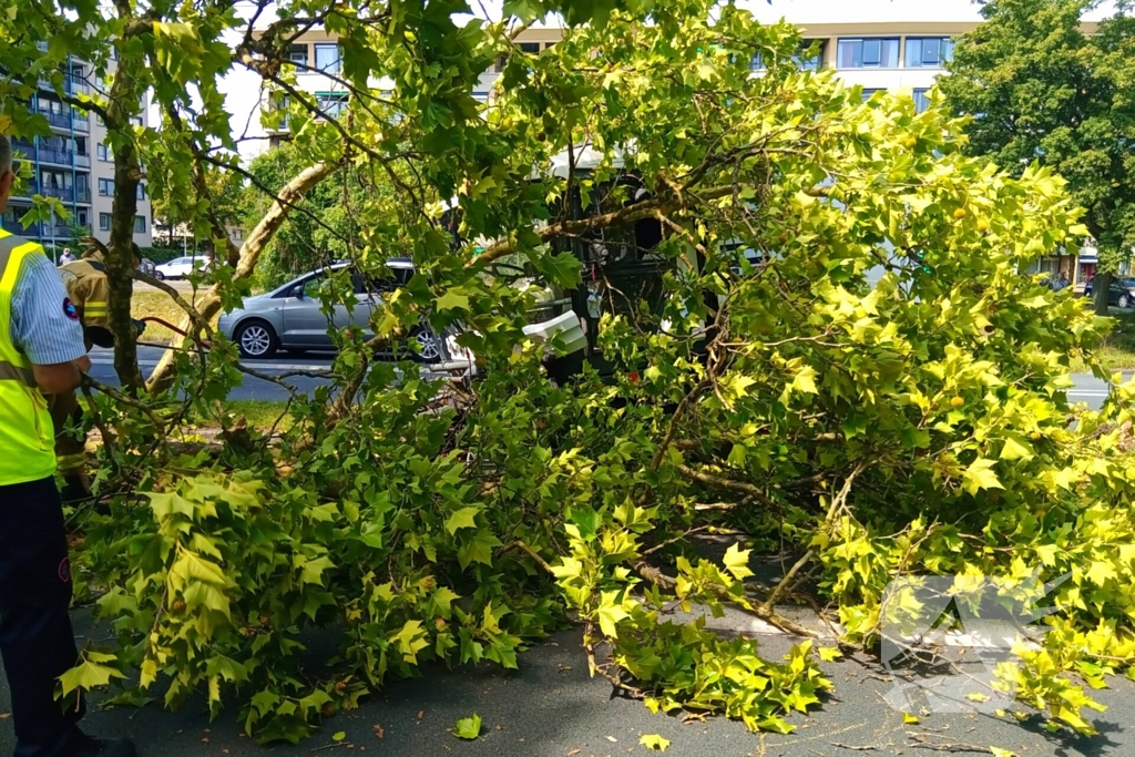 Veegwagen botst op boom