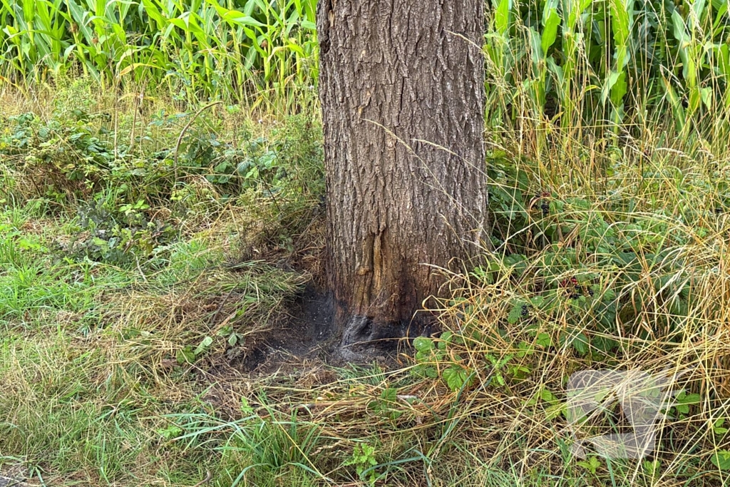 Buitenbrand aan fietspad onder controle