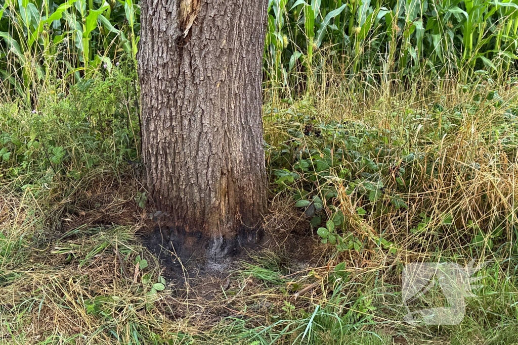 Buitenbrand aan fietspad onder controle