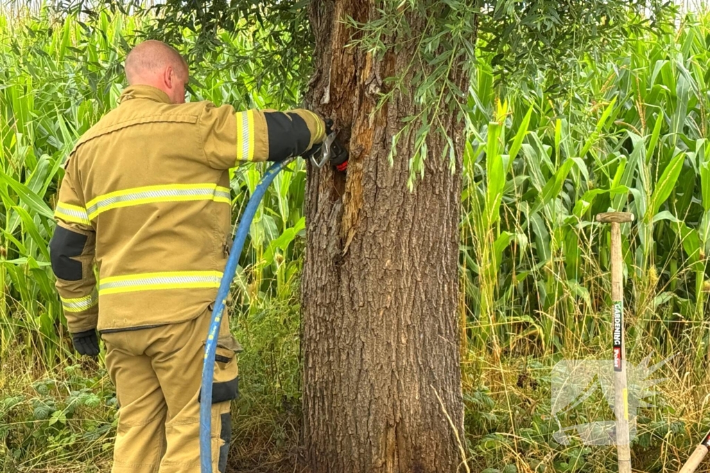 Buitenbrand aan fietspad onder controle