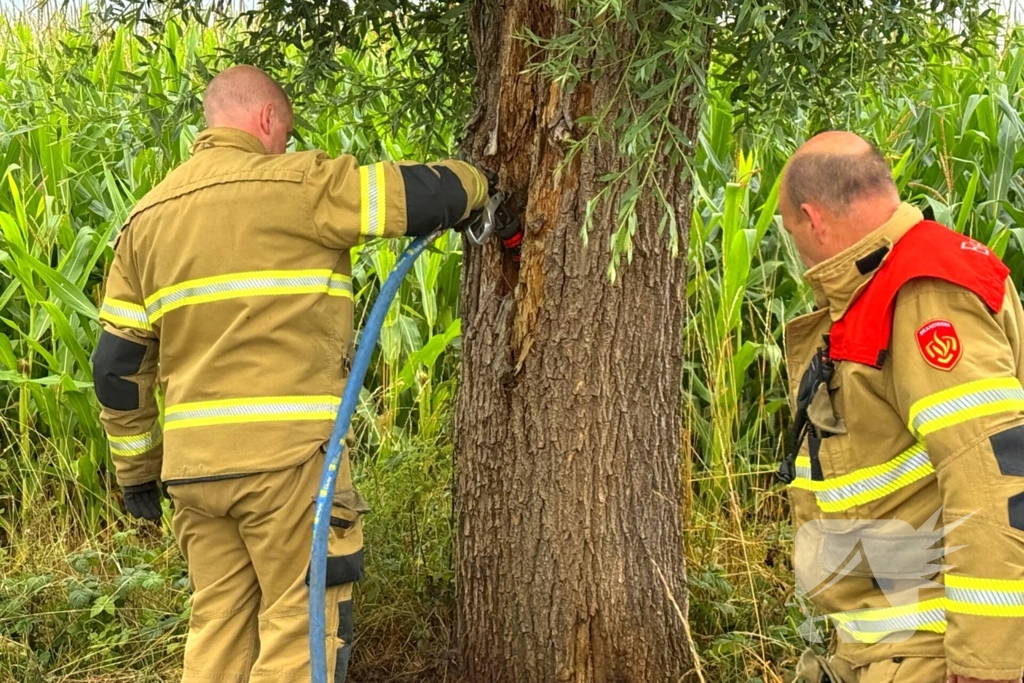 Buitenbrand aan fietspad onder controle
