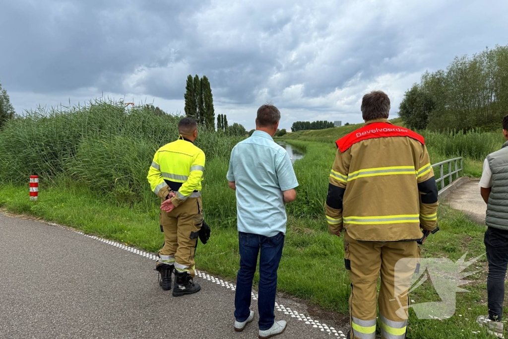 Jonge zwaan gered en herenigd met moeder