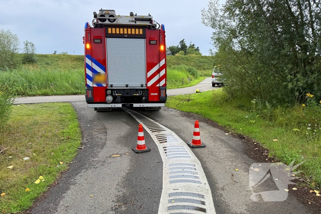 Jonge zwaan gered en herenigd met moeder