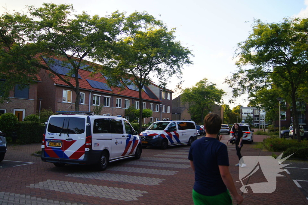 Politie zet taser in bij arrestatie