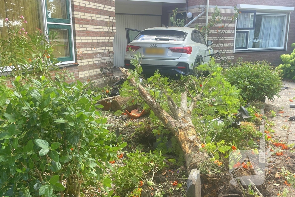 Voertuig ramt boom en huis