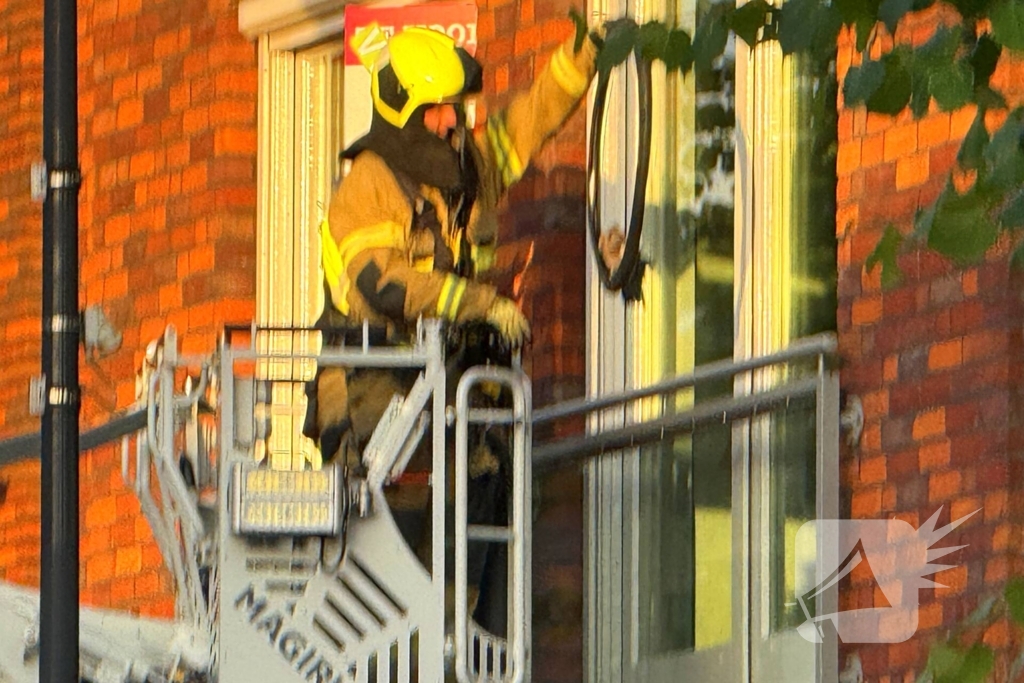 Brandweer bevrijdt duif uit benarde situatie