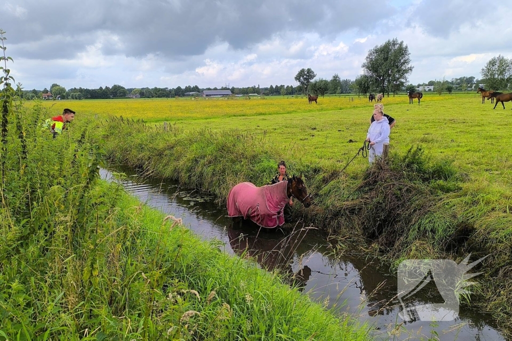 Brandweer redt dier uit benarde situatie