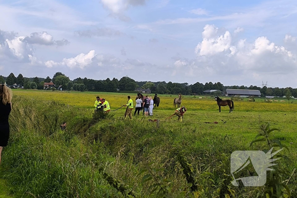 Brandweer redt dier uit benarde situatie