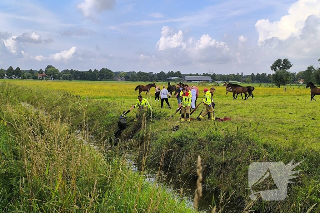 Brandweer redt dier uit benarde situatie