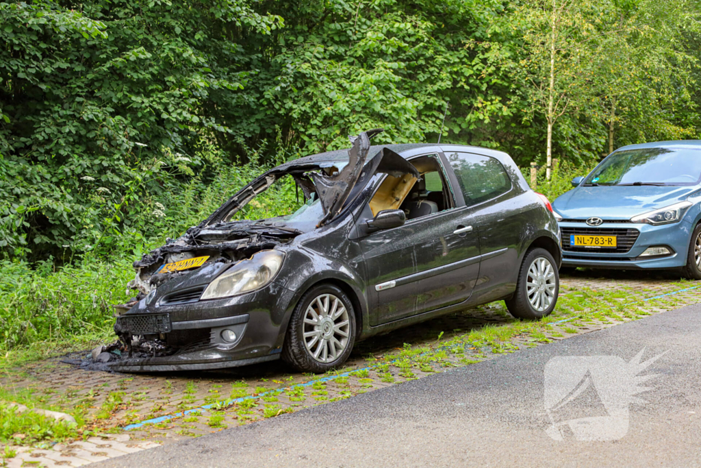 Auto total loss door brand