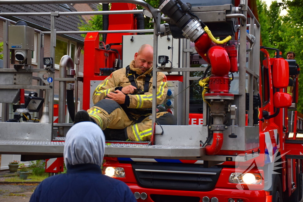 Brandweer redt kat uit boom
