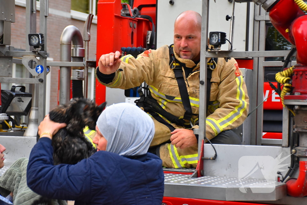 Brandweer redt kat uit boom