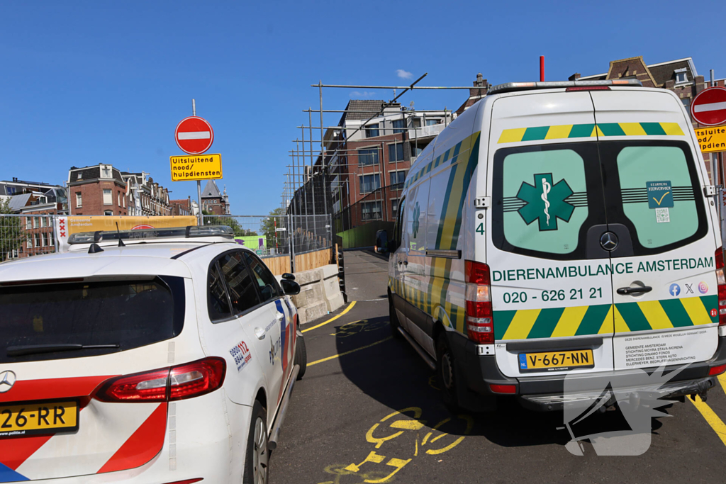 Honden gered uit woningbrand