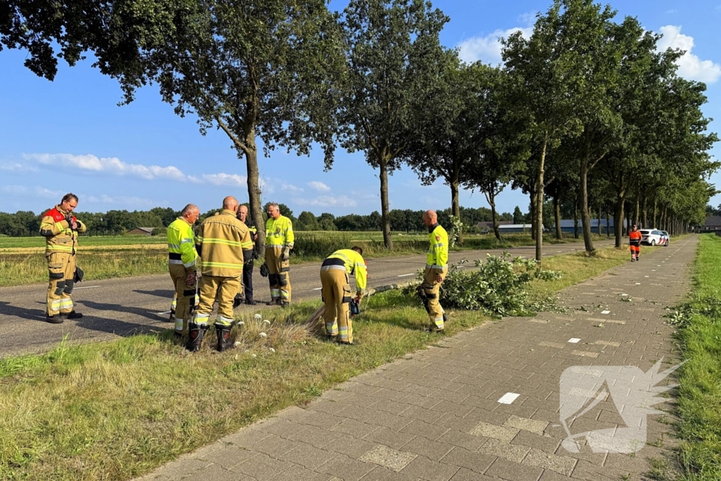Auto raakt boom en belandt in sloot