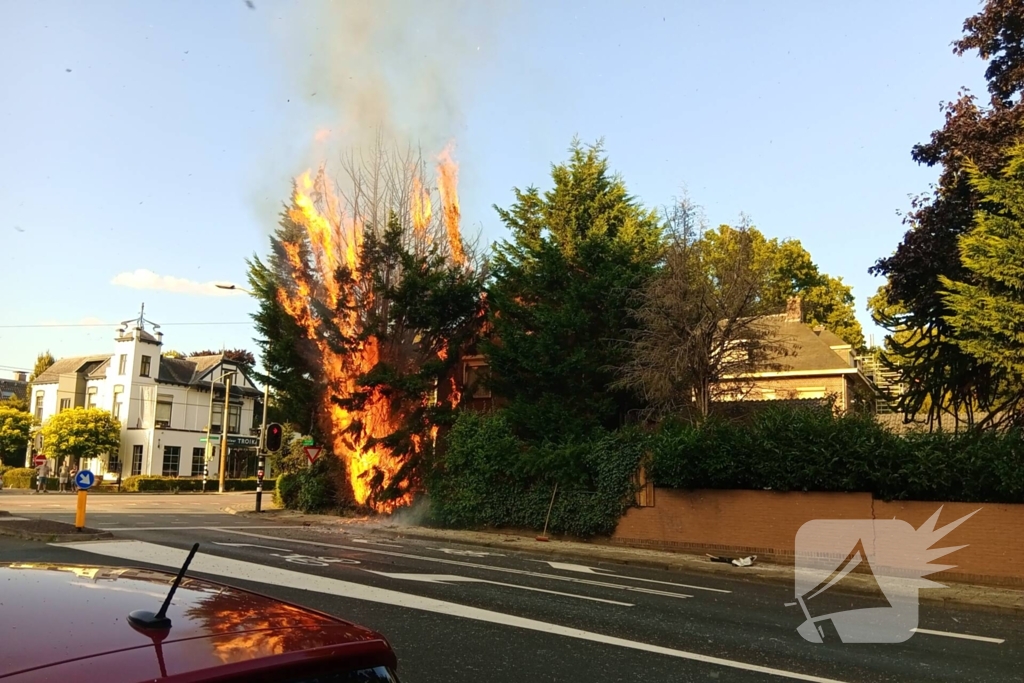 Flinke vlammen bij brand in conifeer