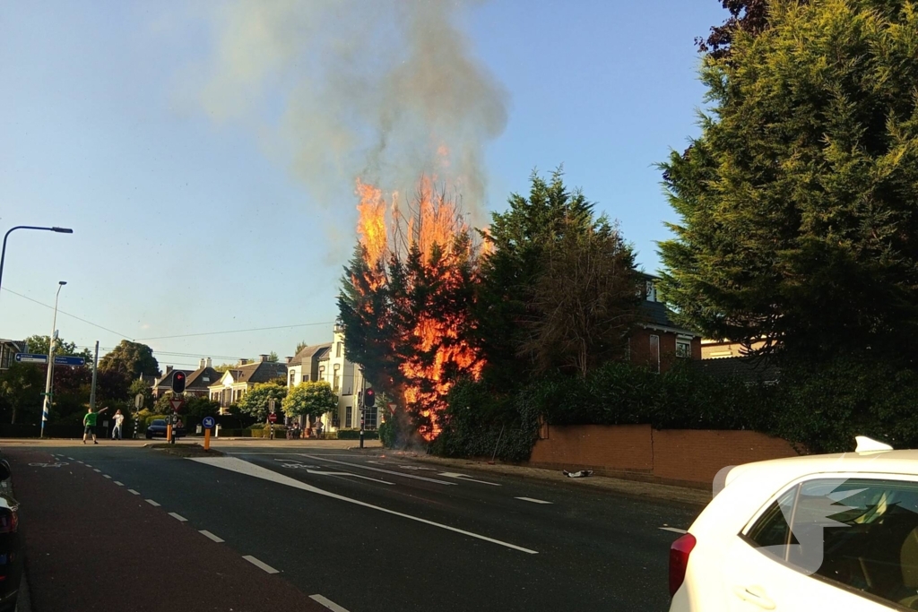 Flinke vlammen bij brand in conifeer