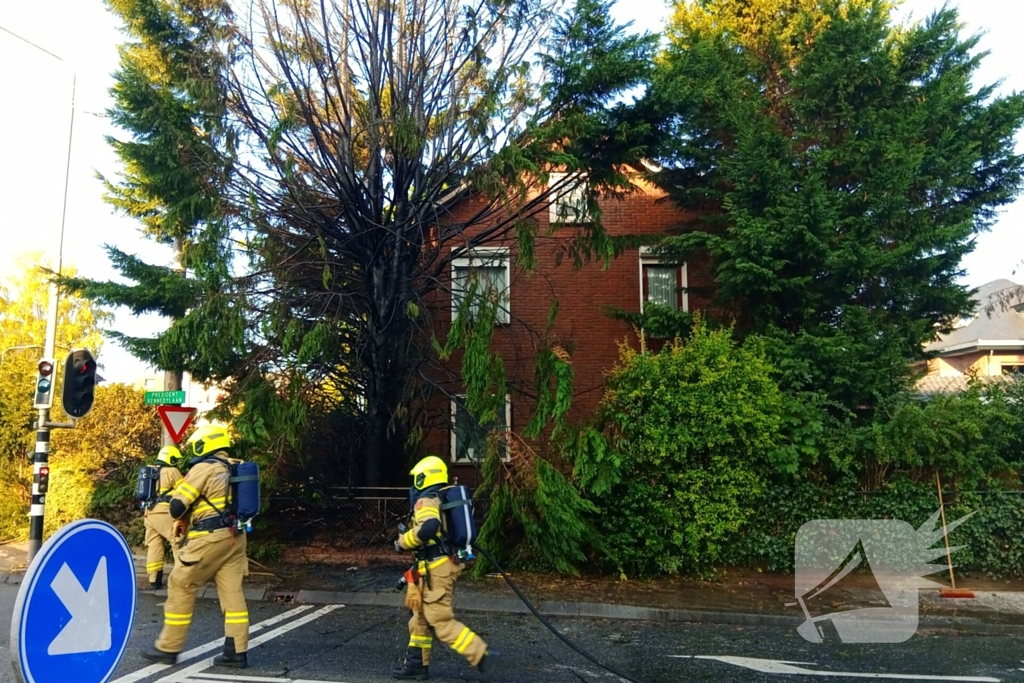 Flinke vlammen bij brand in conifeer