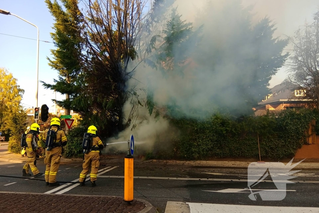 Flinke vlammen bij brand in conifeer