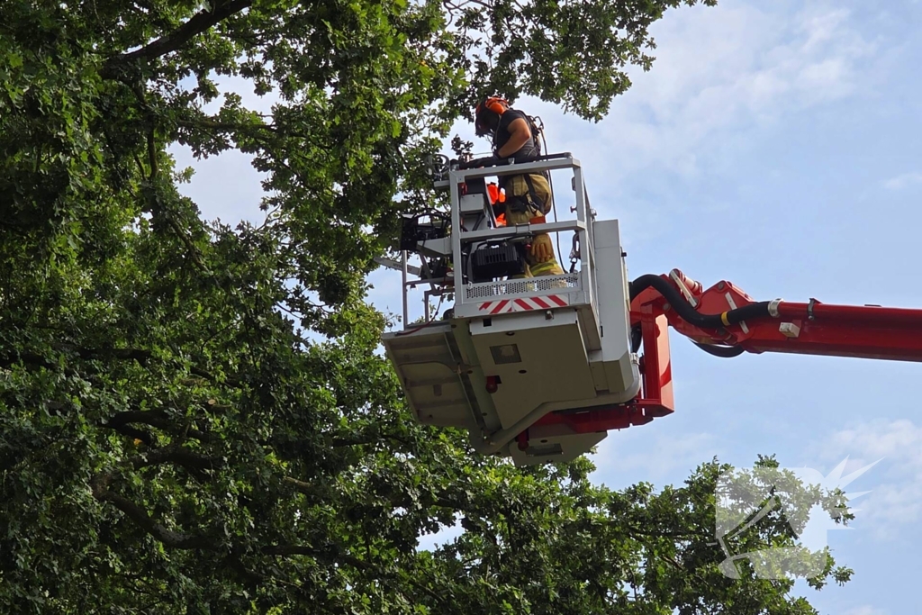 Brandweer verwijdert gevaarlijk hangende takken boven buurtmoestuin moestuin