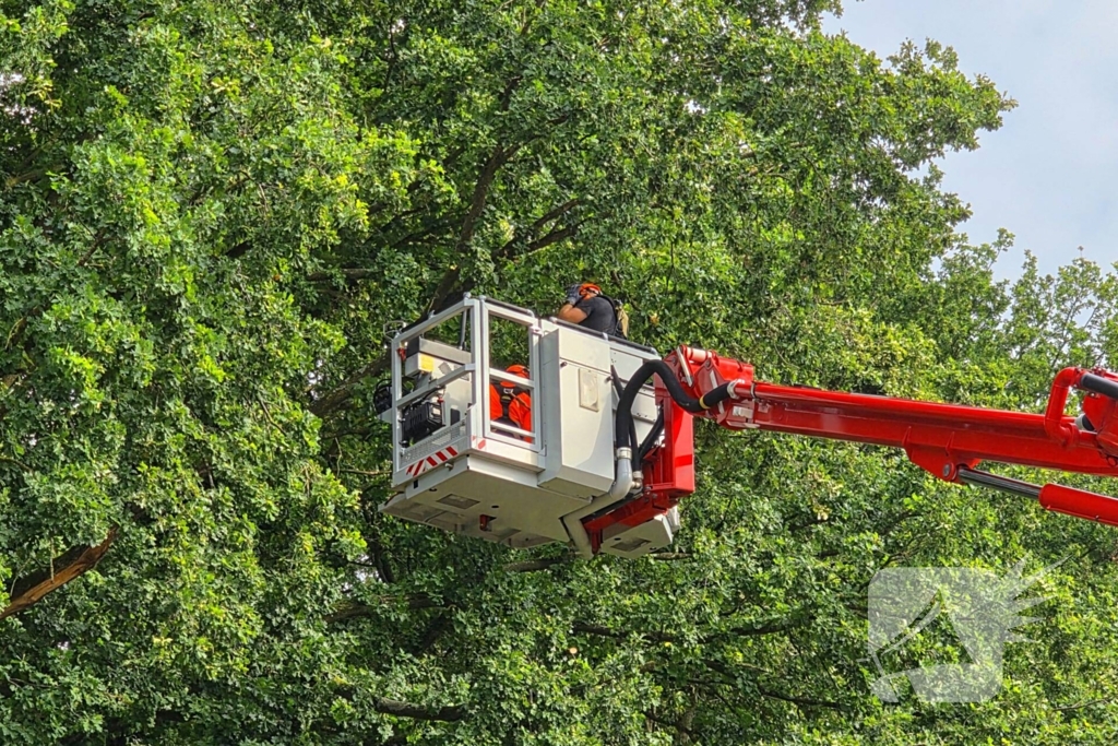 Brandweer verwijdert gevaarlijk hangende takken boven buurtmoestuin moestuin