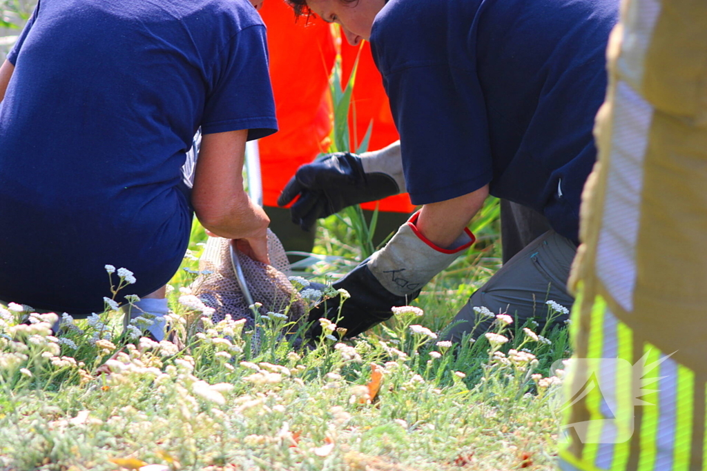 Reiger bevrijdt uit visdraad