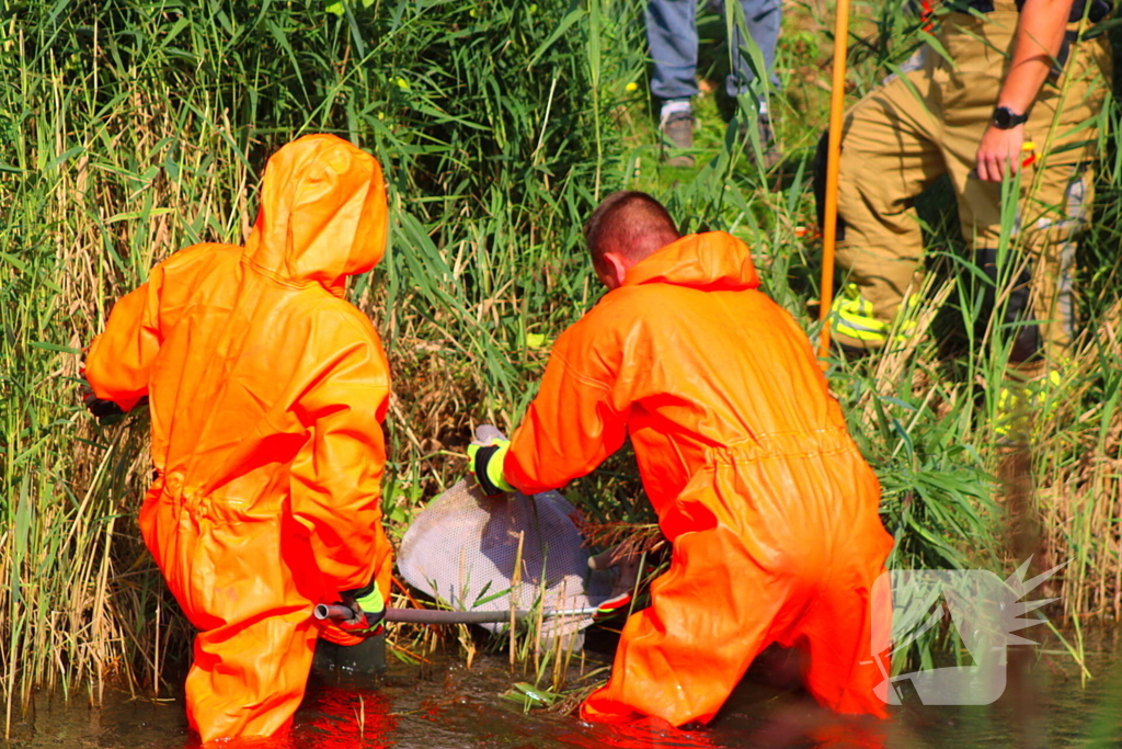 Reiger bevrijdt uit visdraad