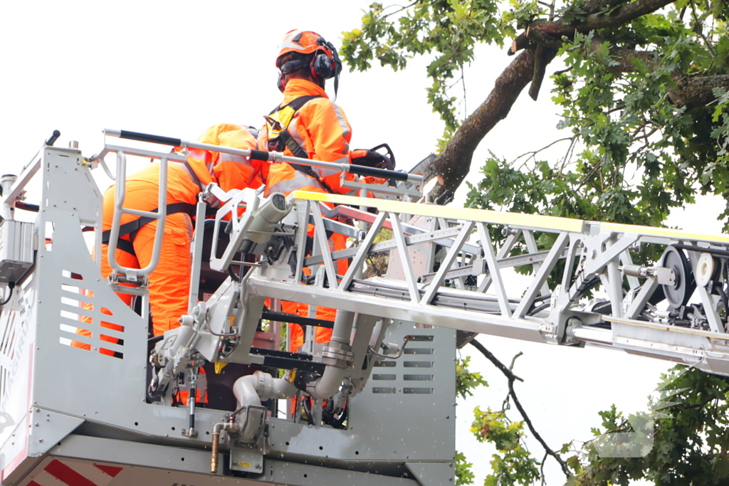 Gevaarlijke tak in boom verwijderd door brandweer