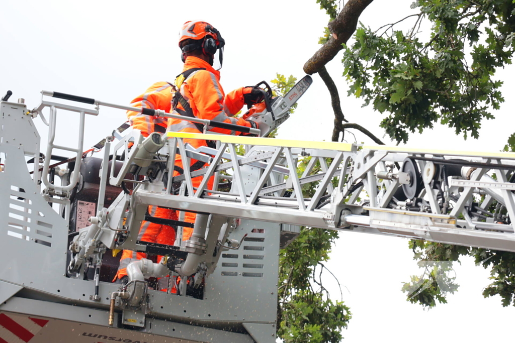 Gevaarlijke tak in boom verwijderd door brandweer