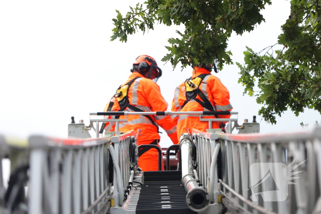 Gevaarlijke tak in boom verwijderd door brandweer