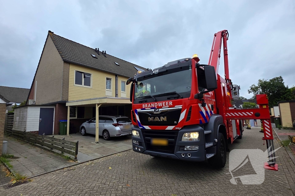 Kat in het bakkie voor Torito